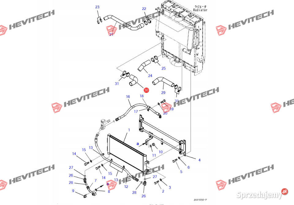 Wąż chłodnicy oleju Komatsu 4230361561 Gądki