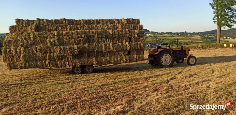 Siano tegoroczne 1 pokos prasie sipma z224 Łososina Dolna sprzedam