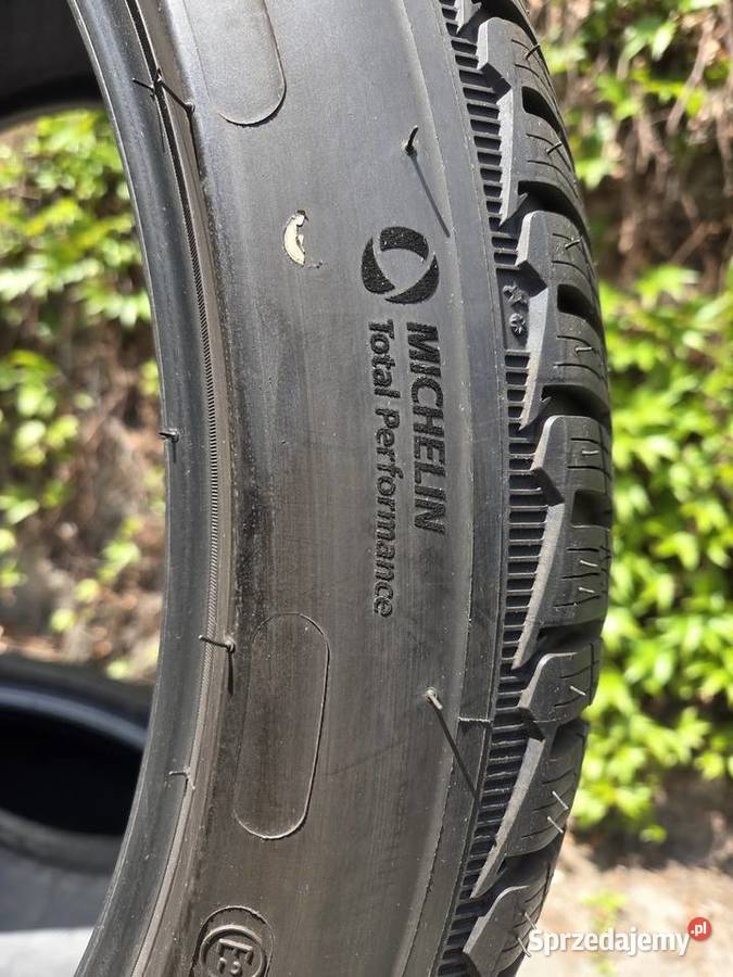 Michelin Pilot Alpin 5 29535 R20 105 W XL 295 śląskie