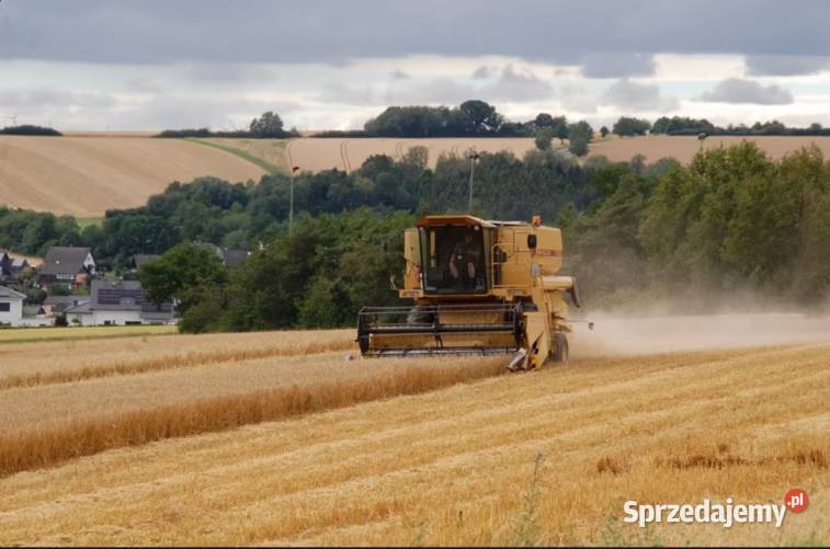 Kombajn zbożowy Holland TX 32 lubelskie Niedrzwica Duża sprzedam