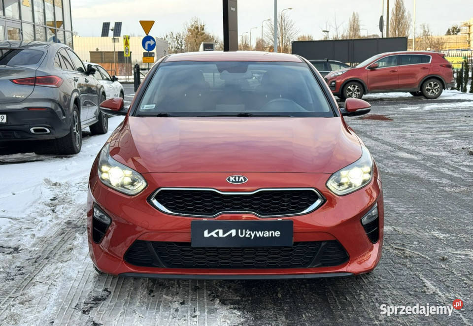 Kia Nowy Ceed 14 TGDI 140 Business Line Toruń