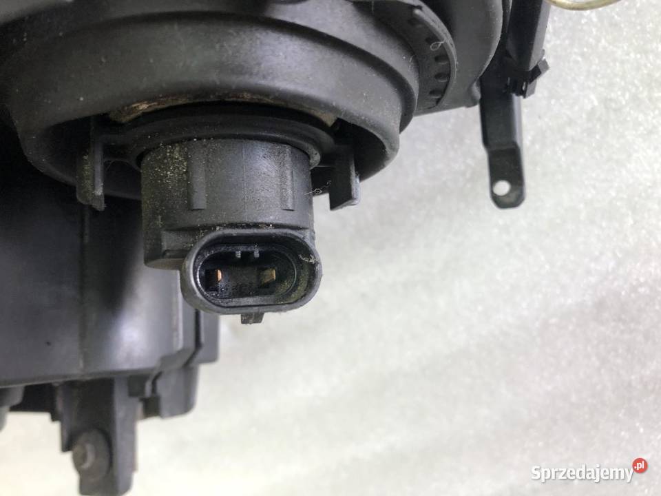 LAMPA LEWY PRZÓD 6902745 BMW E46 EUROPA Lampy przeciwmgielne wielkopolskie