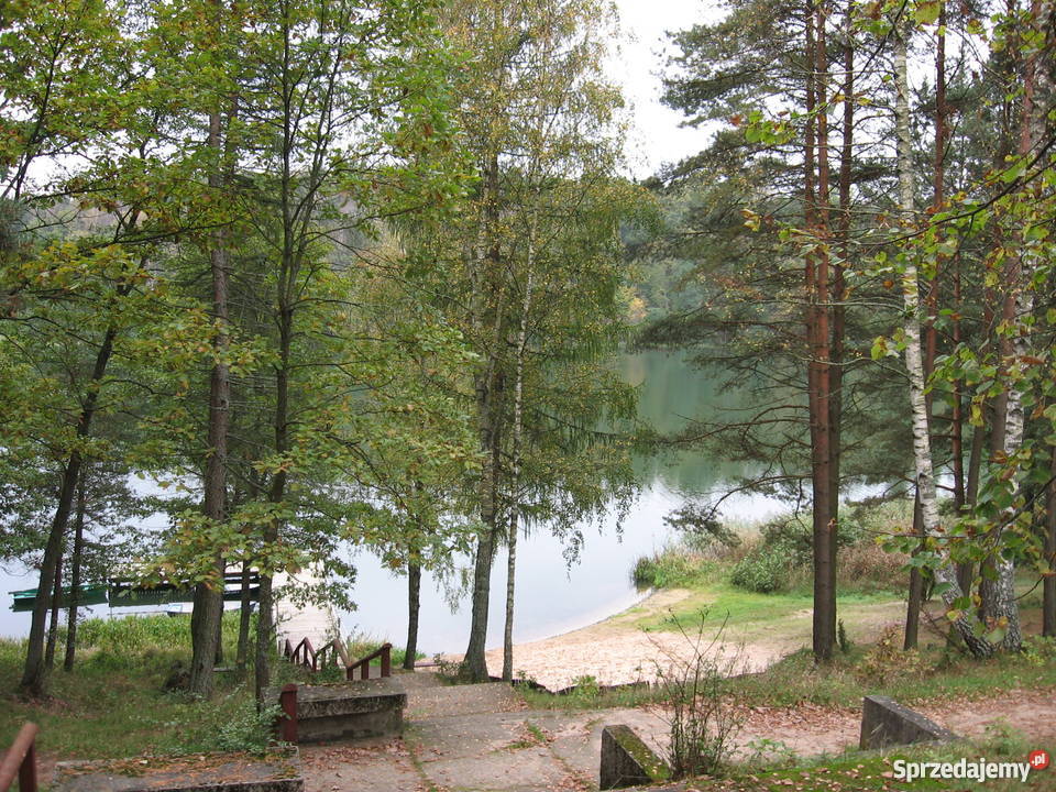 Sprzedam domek letniskowy w okolicach Ostródy siatka Ostróda