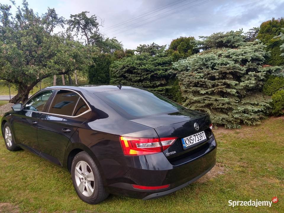 SKODA SUPERB 3 SEDAN 1 6 TDI Rok produkcji 2016 Gostwica