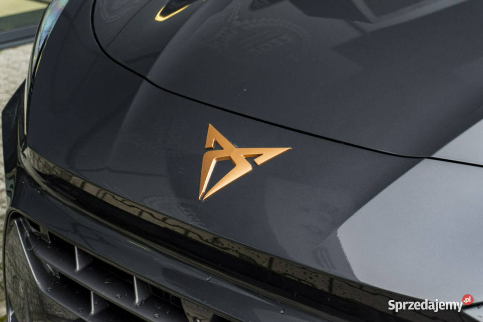 Cupra Terramar Advantage Edition 20 TSI 204 DSG kurtyny powietrzne Łódź