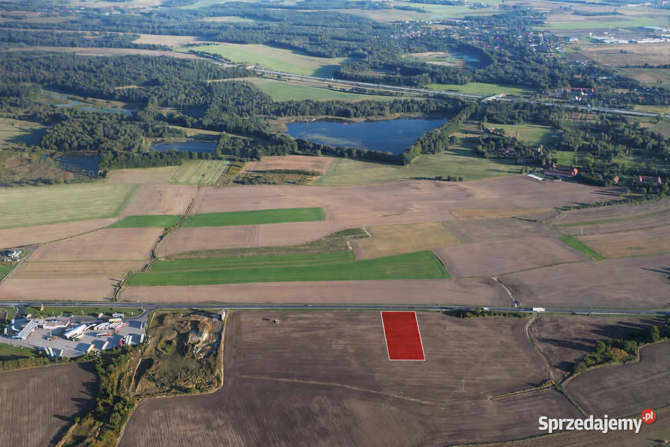 Działka inwestycyjna DK94 Jędrzychowice dolnośląskie sprzedam