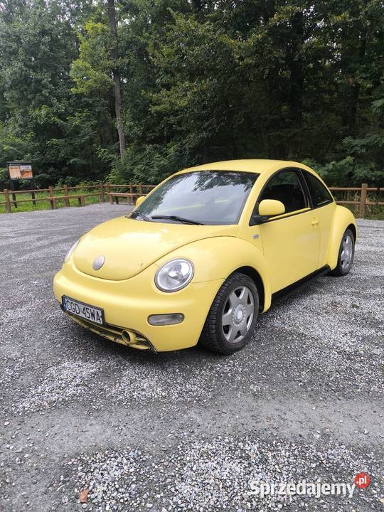VW Beetle New Beetle Bełchów
