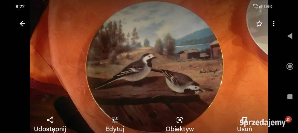 Talerz kolekcjonerski Bradex Ptaki  porcelana Finlandia