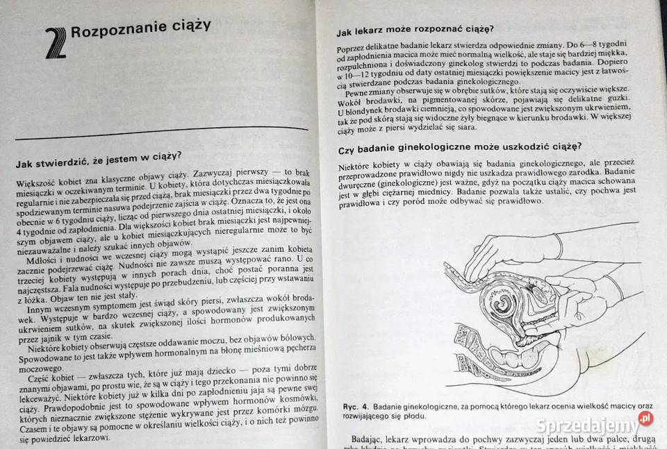 Wszystko o ciąży Geoffrey Chamberlain Chełm