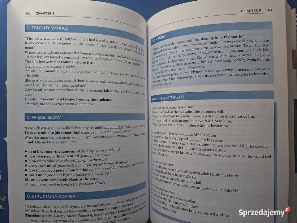 Sherlock Holmes i pies Baskervilleów z miękka