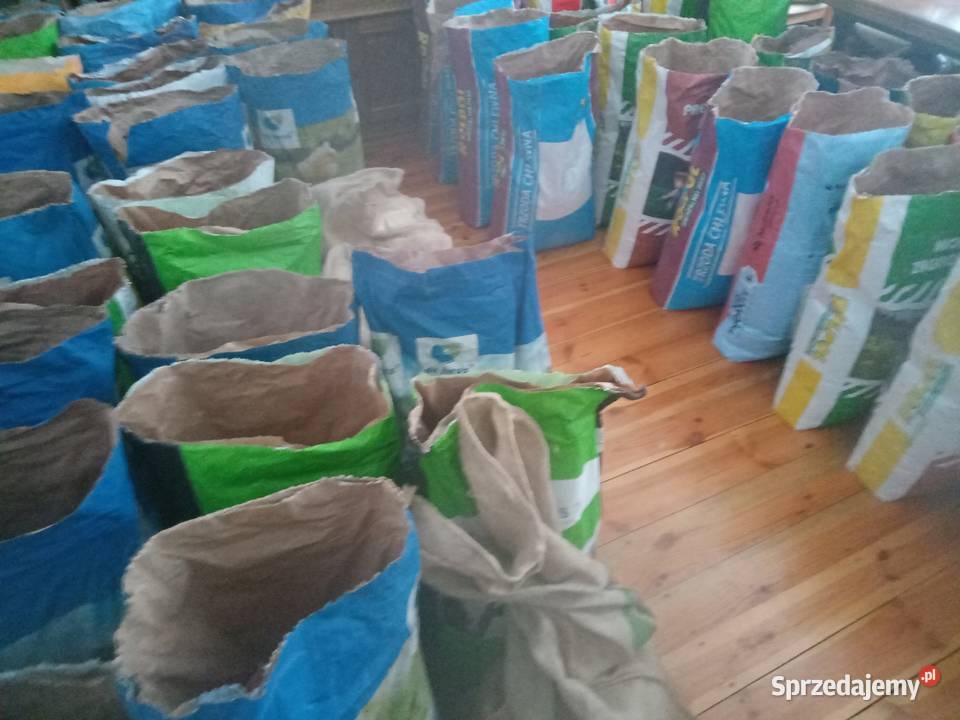 Kukurydza Tipico i Tabarro