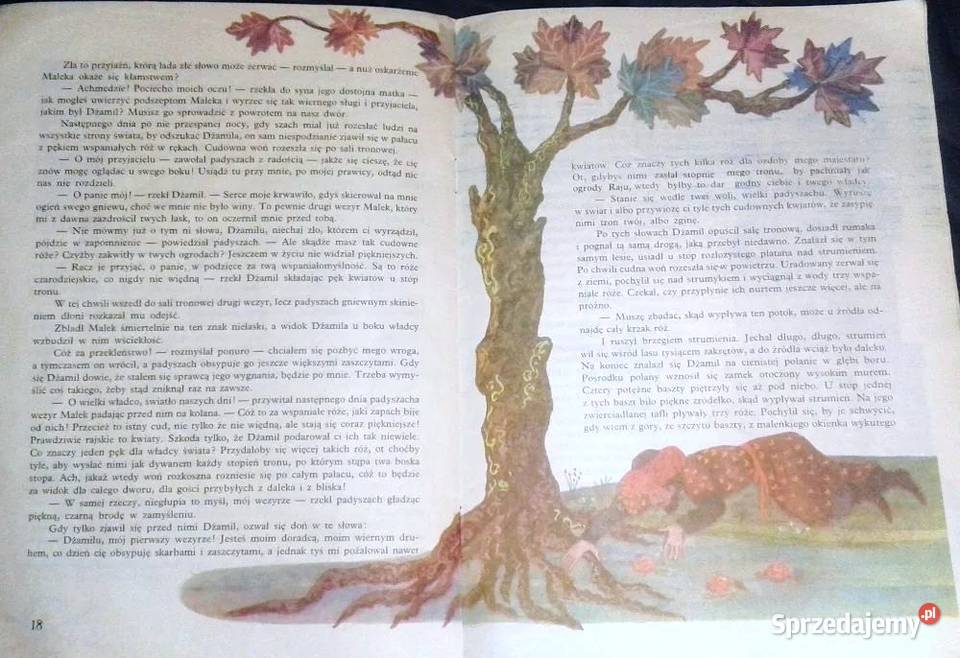 Szach Kobad i gadająca papuga W Markowska A Pozostałe Chełm