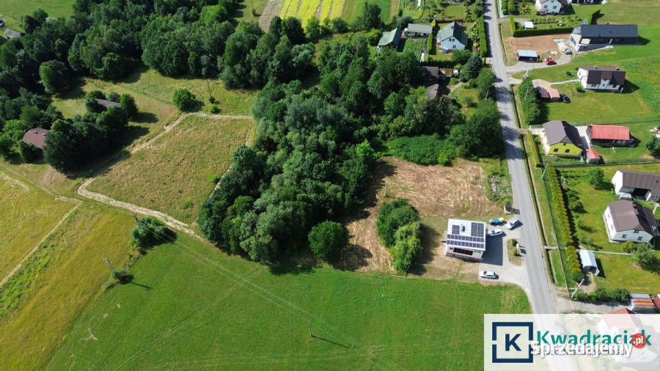 Grunt Korczyna 8208m2 sprzedam