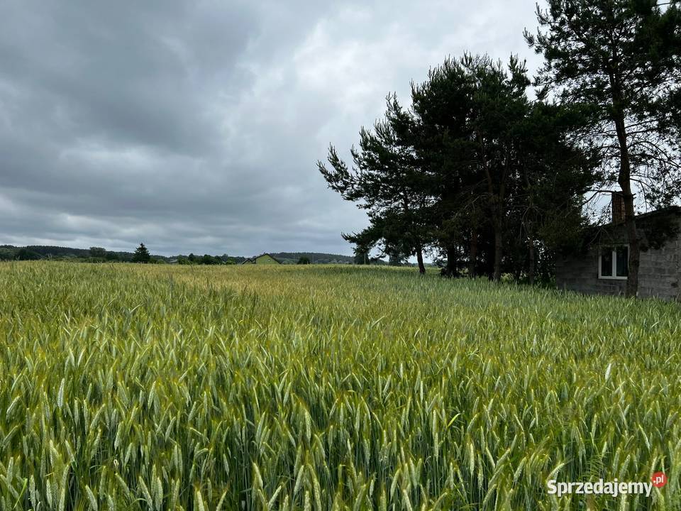 Działka budowlana z dostępem do jeziora Sprzedaż Rumunki Witkowskie sprzedam