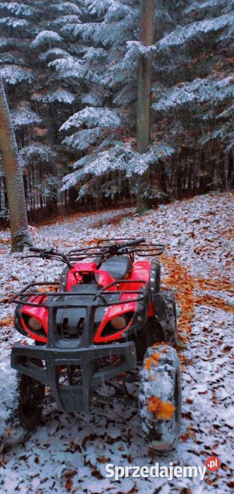 Quad hummer 150 skrzynia 31 do niedzieli Trzciana