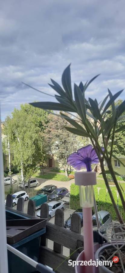 Sprzedam kawalerkę na Bałutach Łódź