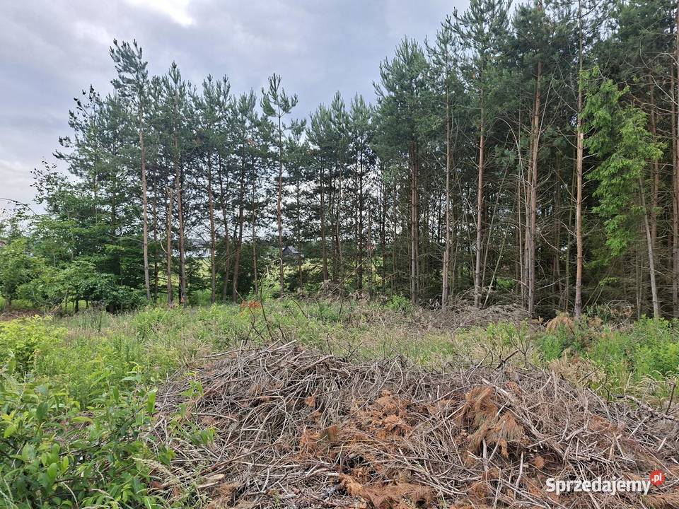 Działka podkarpackie Przewrotne sprzedam