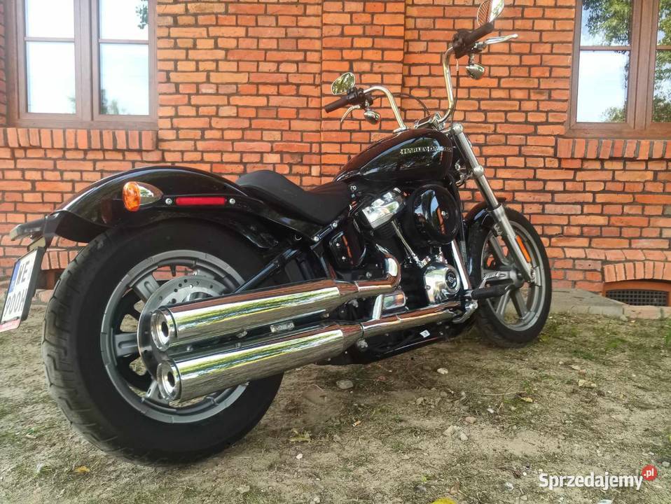 Harley Davidson Softail Standard Warszawa