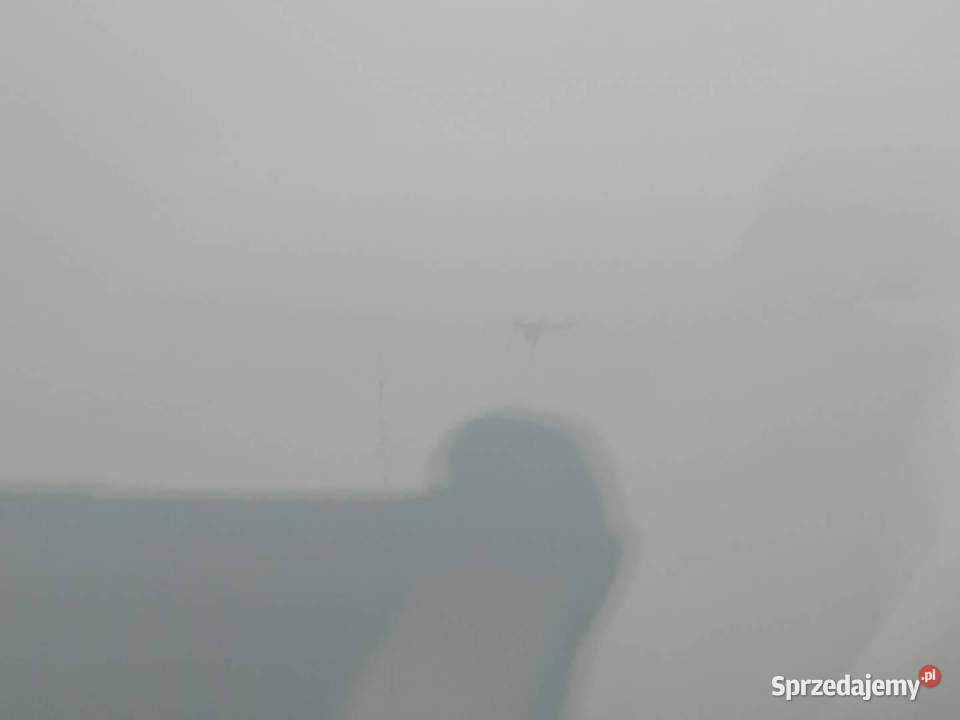 DRZWI PRAWE PRZÓD DV369 Dacia Logan II 2012 Drzwi