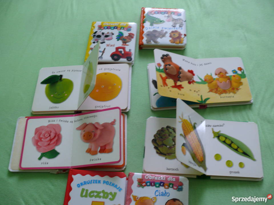 Książeczki obrazki maluchów Zgorzelec sprzedam