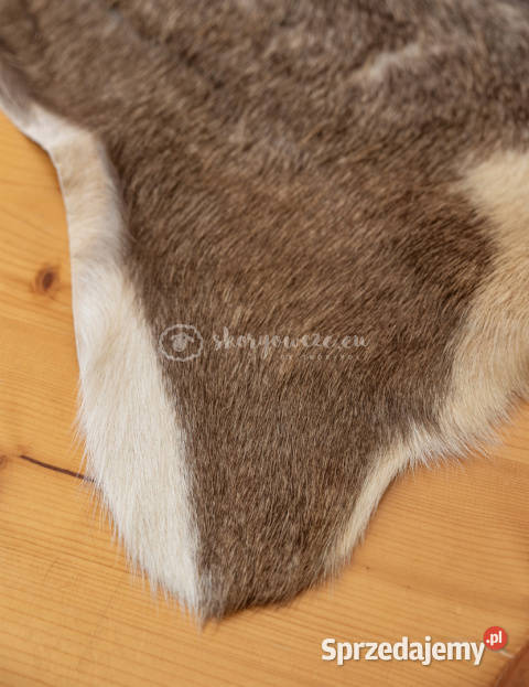 Skóra z kozy kozia skóra kozia skóra dekoracyjna Szaflary