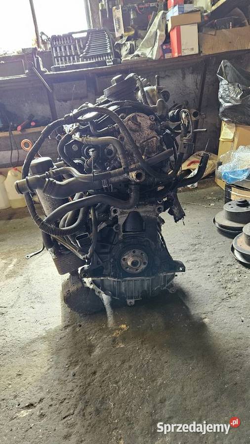 Silnik 19 Tdi PD AJM 115 pompowtrysk Orchowo sprzedam