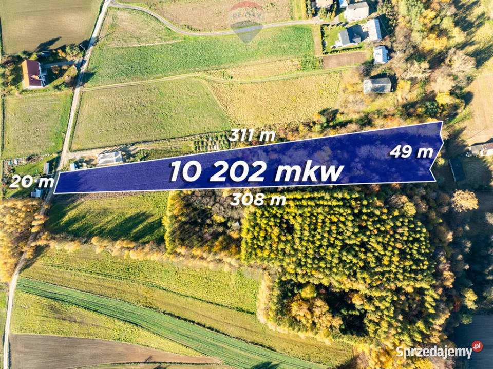 Działka z bijącym źródłem i kawałkiem lasu