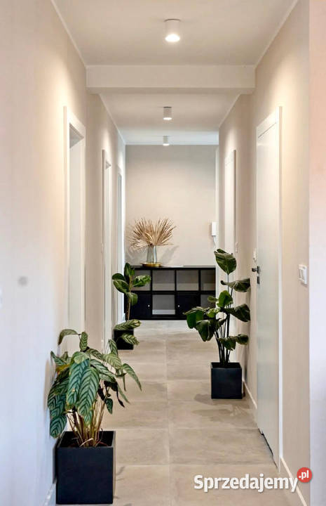 Apartament PREMIUM Puszczy Zielonce 2 miejsca Piętro 1 wielkopolskie Czerwonak sprzedam