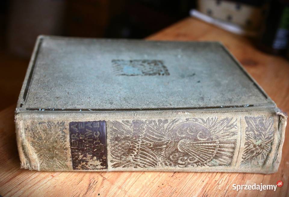 Malarstwo w Polsce XIX do XX wieku Feliks Kopera Antykwariat Gdańsk sprzedam