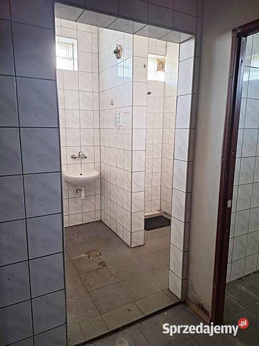 Hala do wynajęcia Rybnik