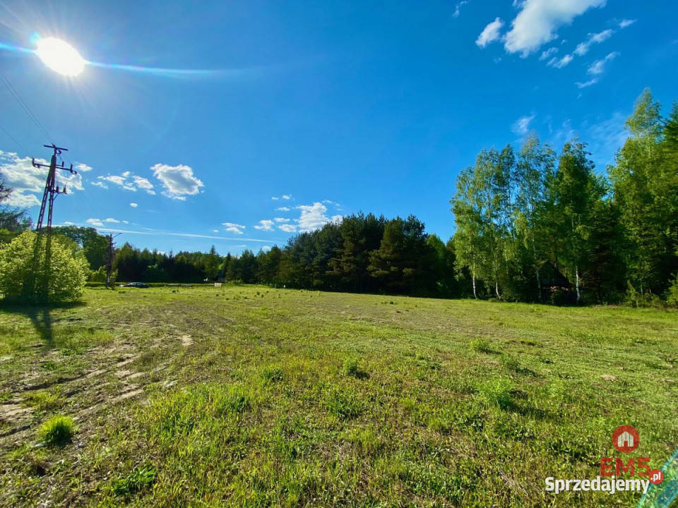 sprzedaży gruntu 3794m2 Katrynka budowlana