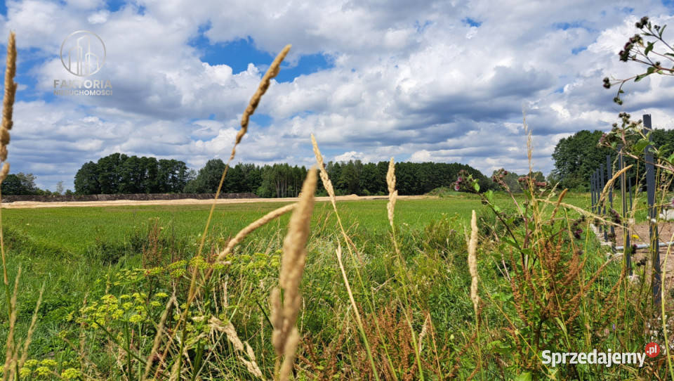 Grunt 2902m Dobrzyniewo Kościelne