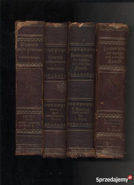Dokładny słownik języka polskiego i niemieckiego zachodniopomorskie Szczecin