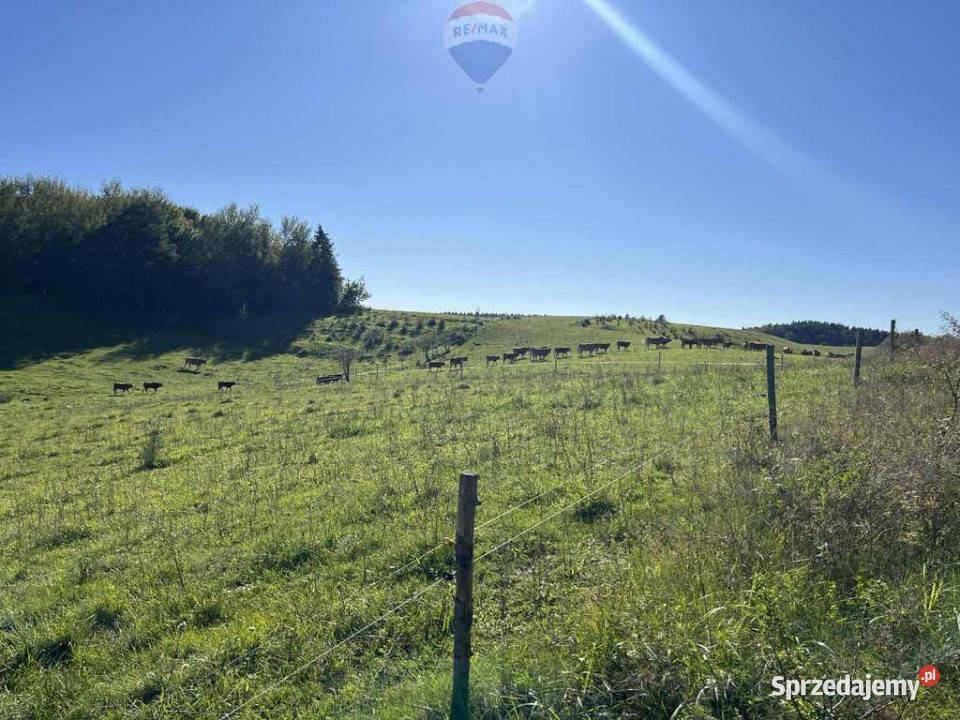 Działka na Mazurach 3 chwile do jeziora 65m sprzedam