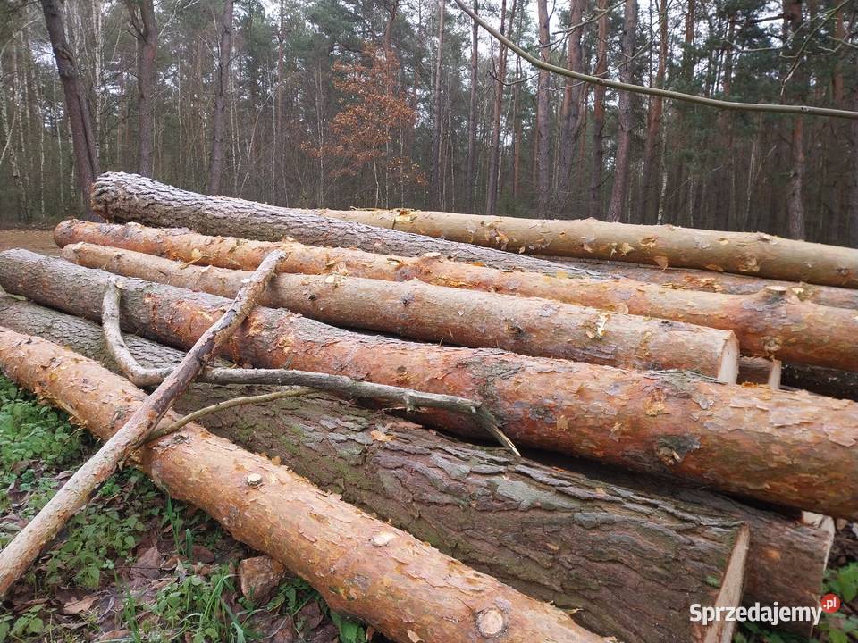 drewno tartaczne Węgrów