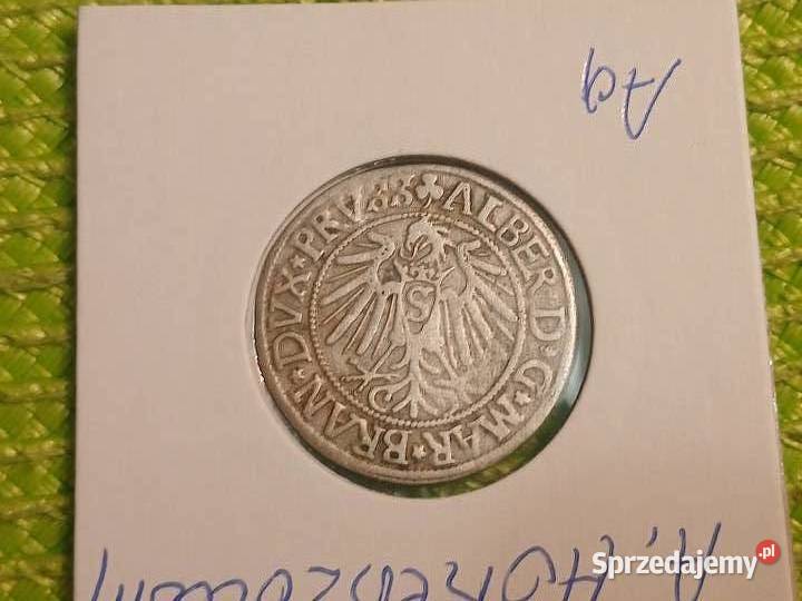 moneta srebrna Prusy Książęce grosz z 1542r Łomża sprzedam