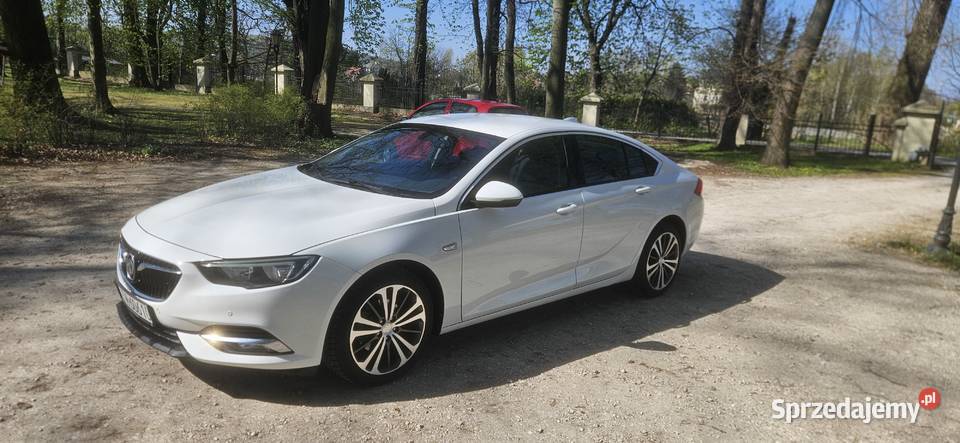 Opel insignia 2019