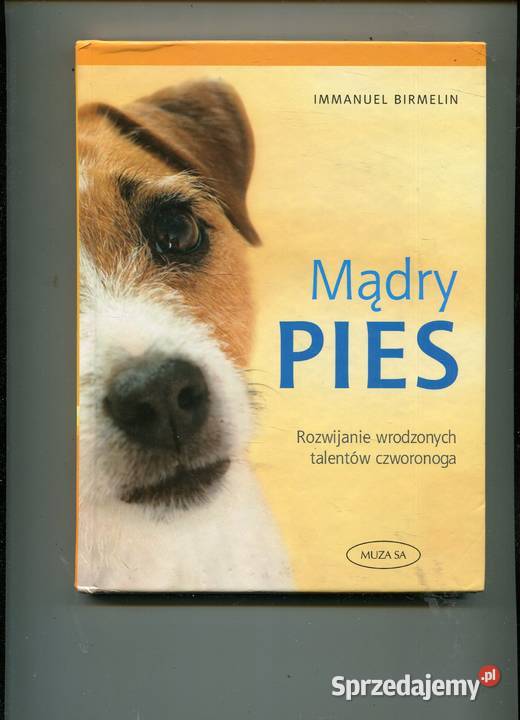 Mądry pies Birmelin Szczecin