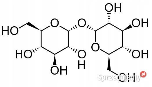 Trehaloza Cukier Disacharyd Trehalose 1 Pozostałe Łódź sprzedam