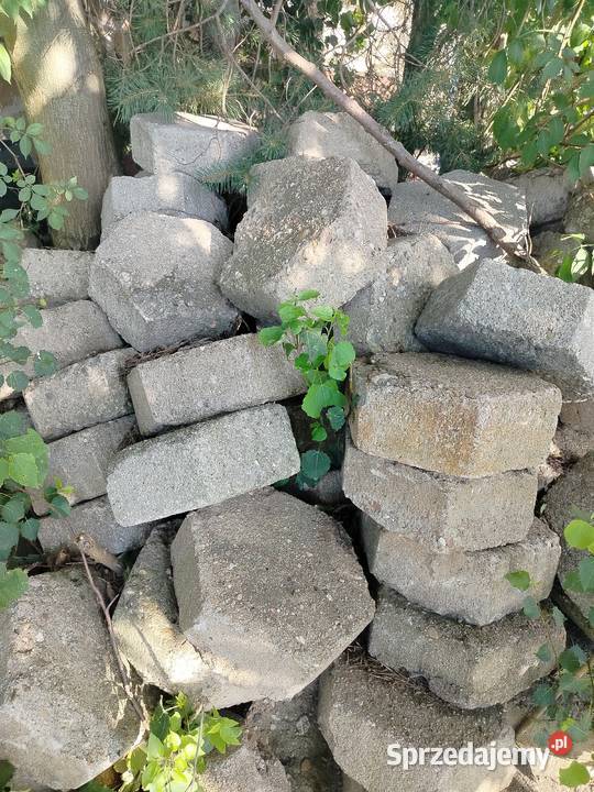 Trelinka betonowa
