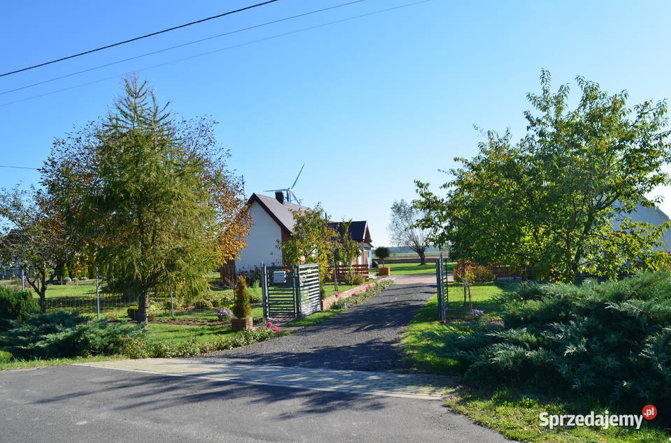 siedlisko z działka o pow 2292m2 w Chojnach gm 11607zł/m2 Chojny