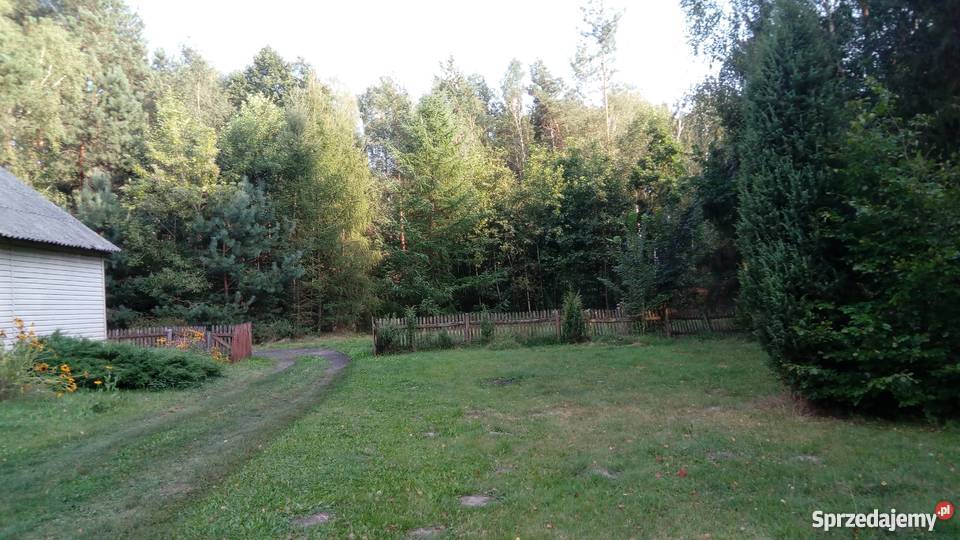 Sprzedam dwie działki z domem Romaszki