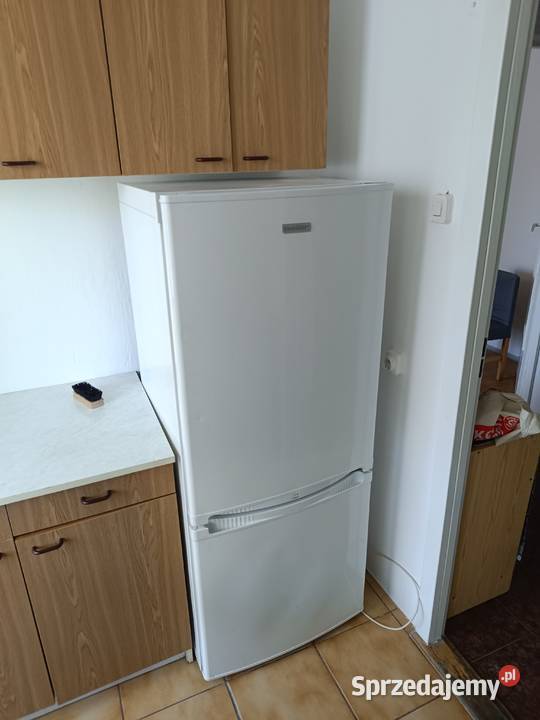 Lodówko zamrażarka Polar 150 60cm Lodówki i zamrażarki Zamość