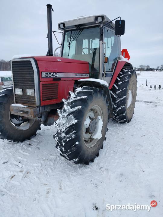 Massey Ferguson Biskupiec sprzedam