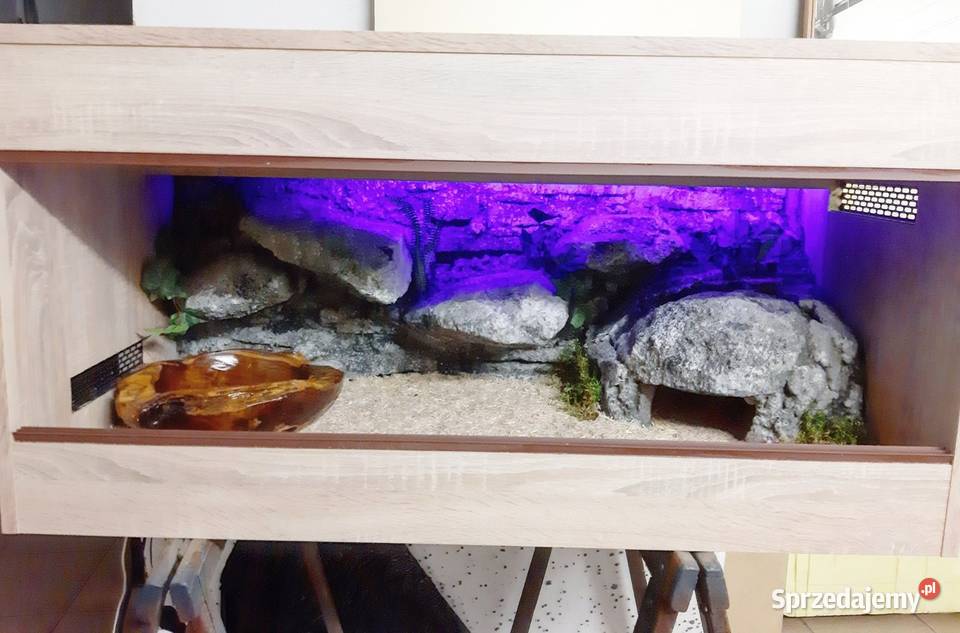 Terrarium Egzo Systems gekona lamparciego agamy Radom