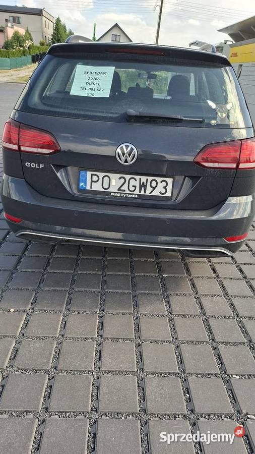 Golf manualna Poznań