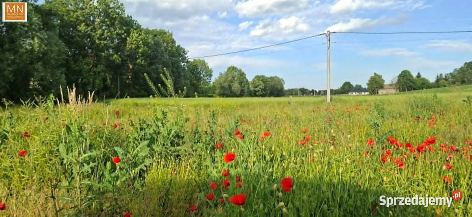 Grunt Marszowice 1000m2 sprzedam