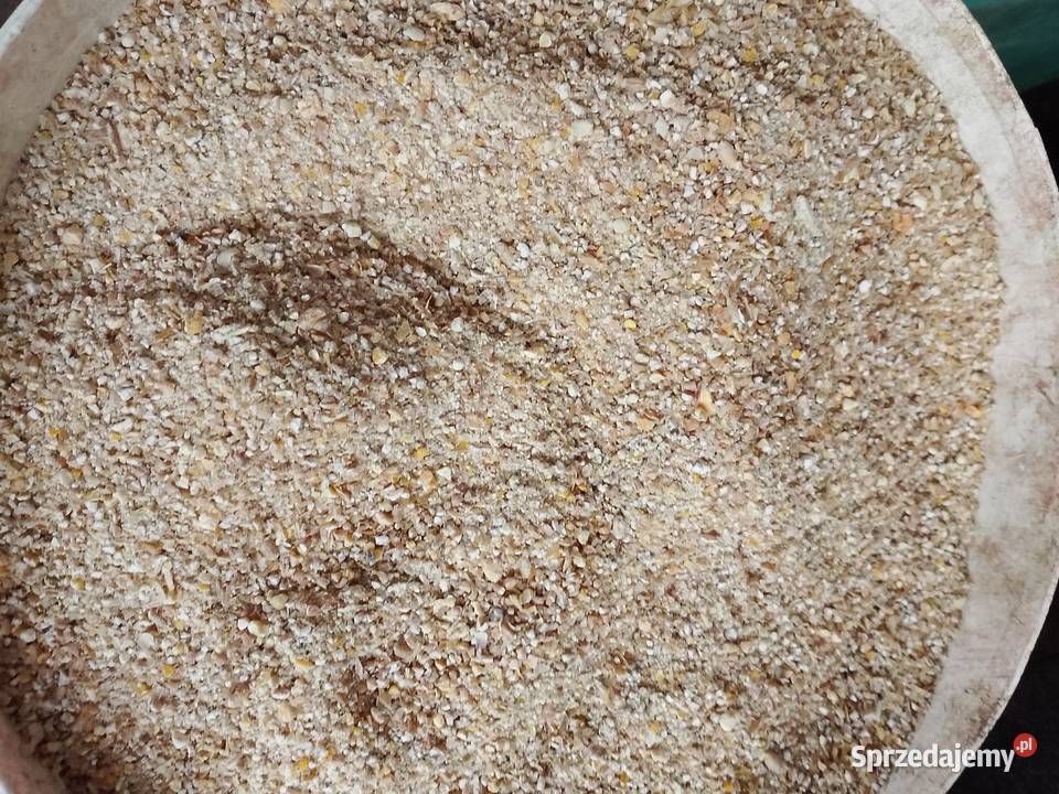 Pasza drobiu Golczewo sprzedam