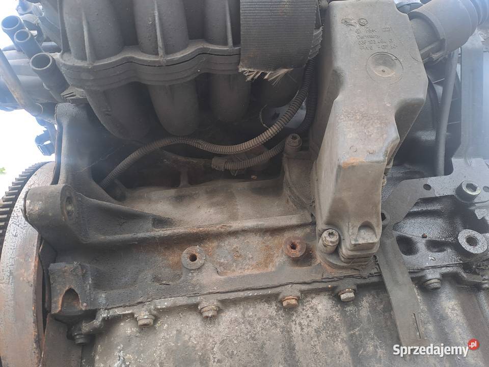 Volkswagen Golf IV 14 16v silnik kompletny kod Jastrzębie-Zdrój sprzedam