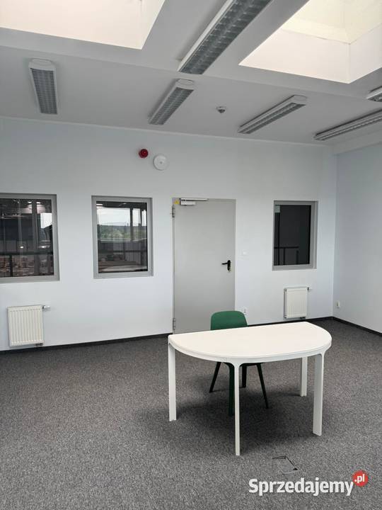 Magazyn POZNAŃ 5967 m2 1 mc bezpośrednio Poznań